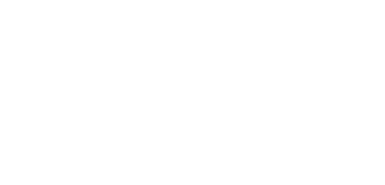 Nordic-Wealth-Logo